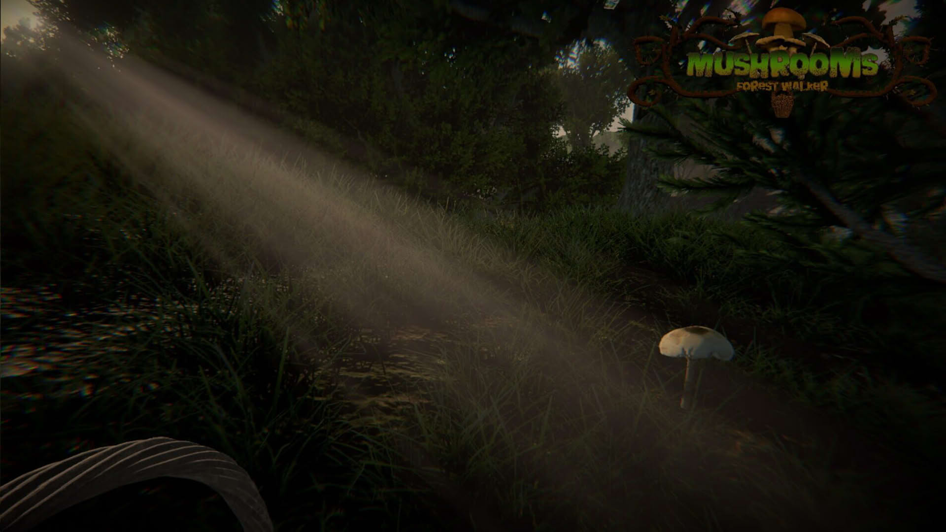 Screenshot for Mushrooms: Forest Walker