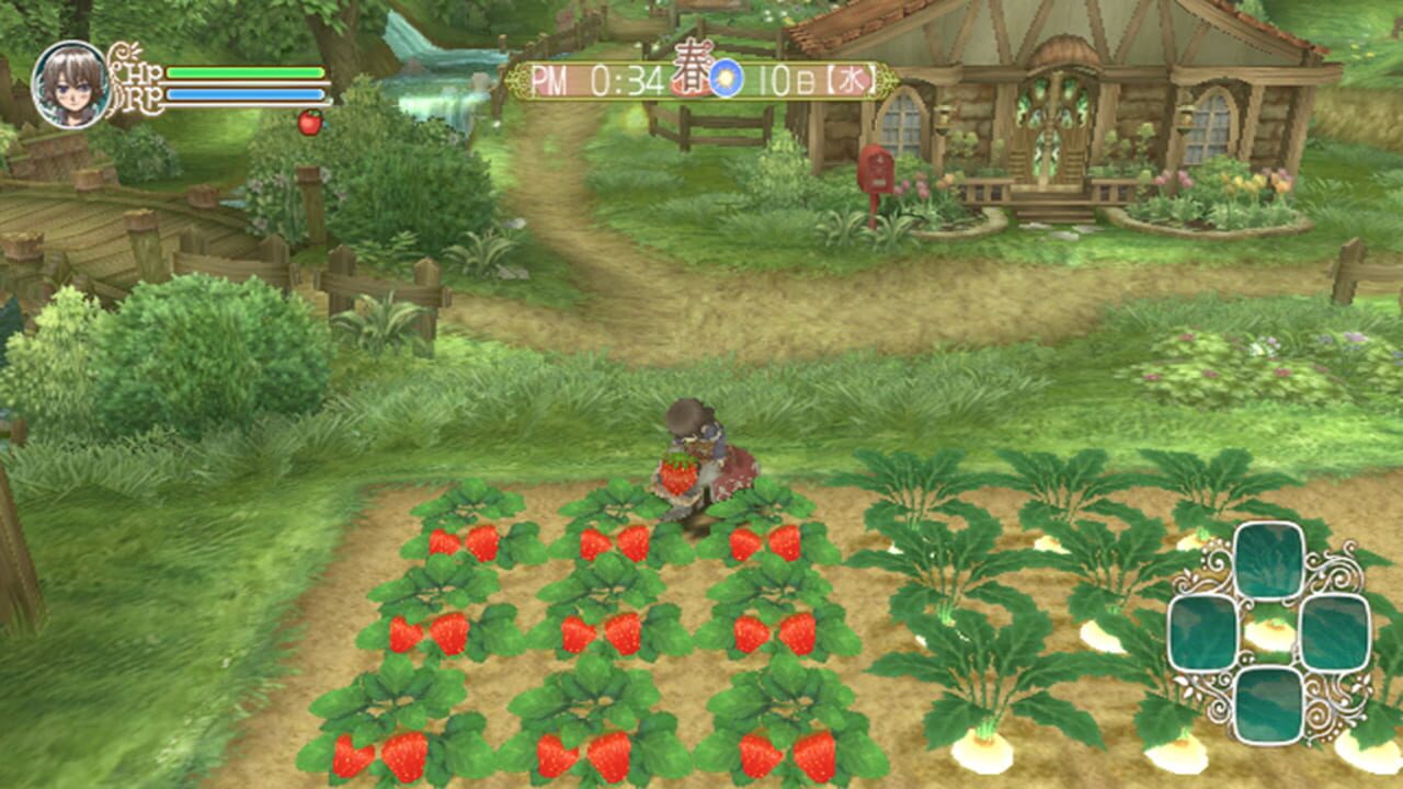 Screenshot for Rune Factory Frontier