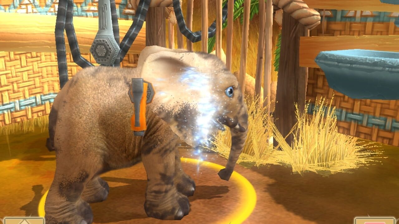 Screenshot for Wildlife Camp