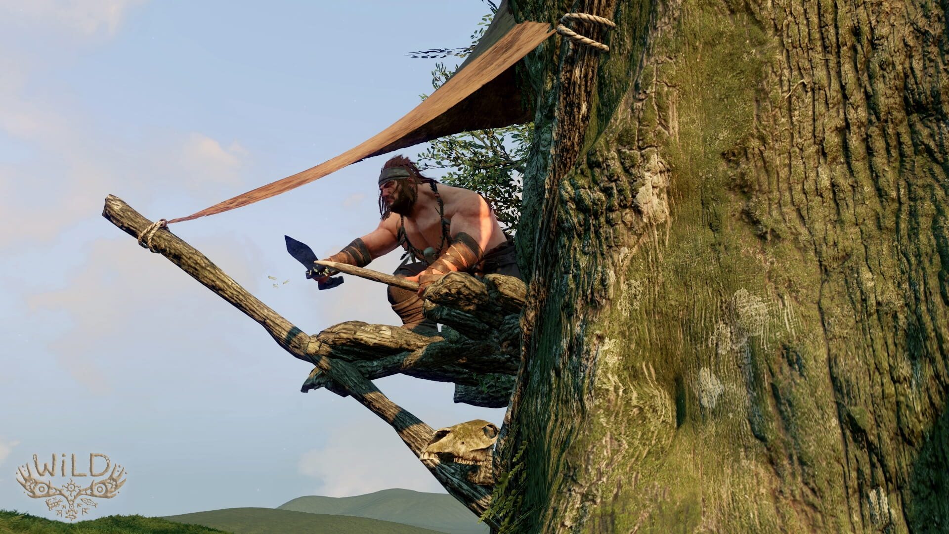Screenshot for WiLD