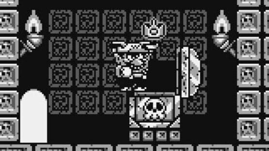 Screenshot for Wario Land: Super Mario Land 3