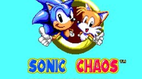 Screenshot for Sonic the Hedgehog Chaos