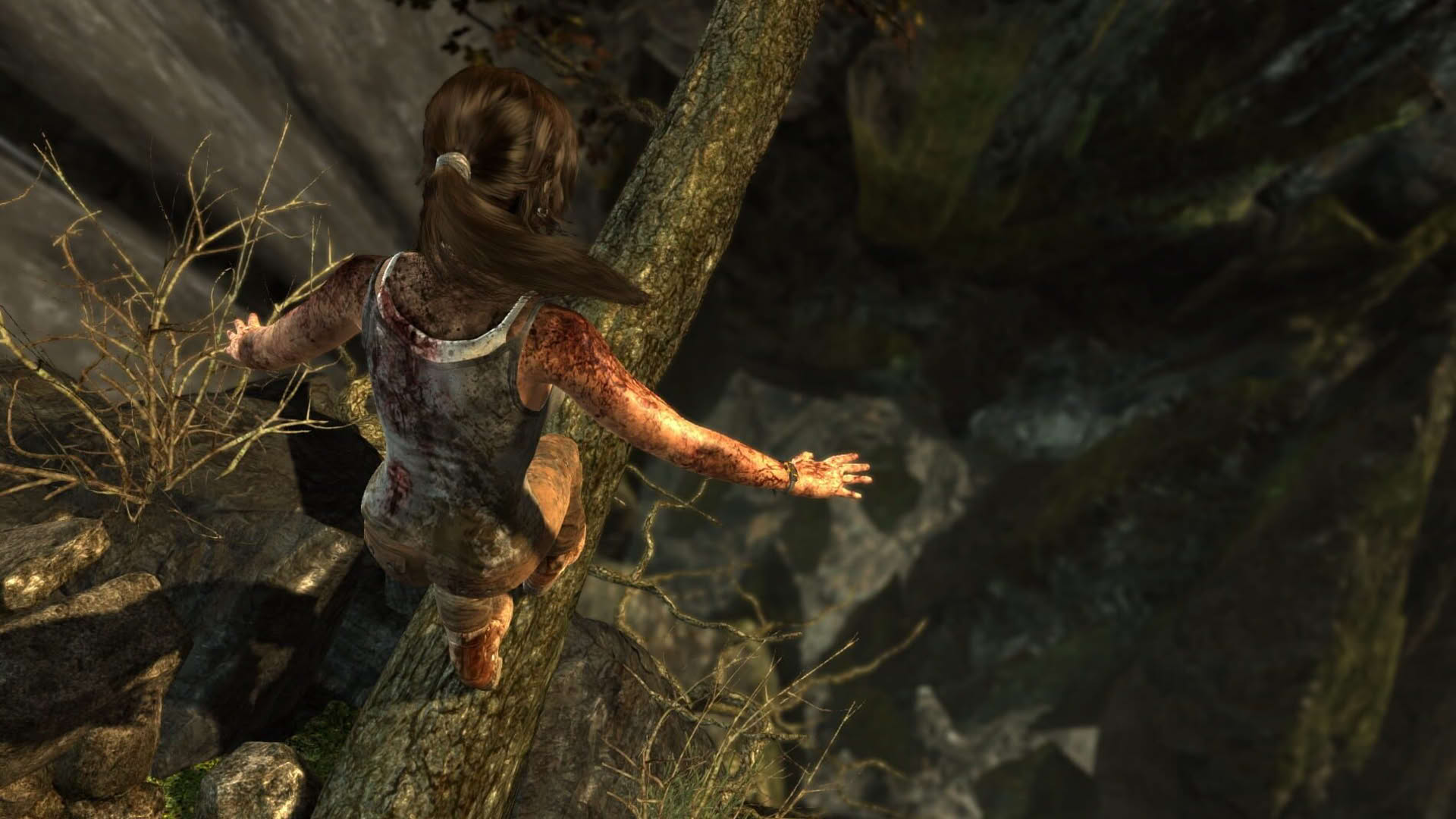 Screenshot for Tomb Raider: Definitive Edition