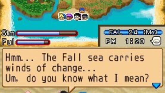 Screenshot for Harvest Moon DS: Island of Happiness
