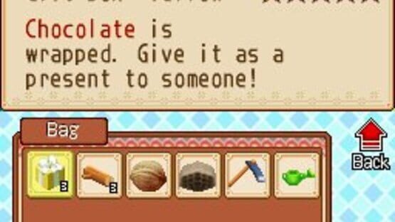 Screenshot for Harvest Moon DS: Grand Bazaar