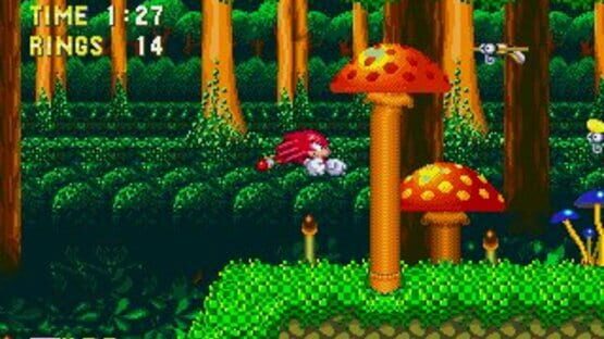 Screenshot for Sonic & Knuckles
