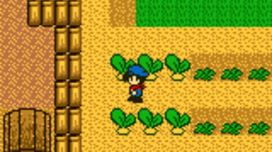 Screenshot for Harvest Moon GB