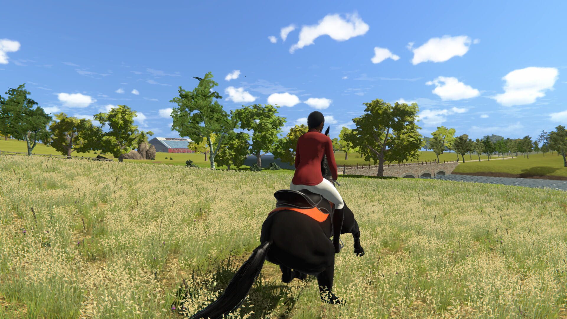Screenshot for My Little Riding Champion