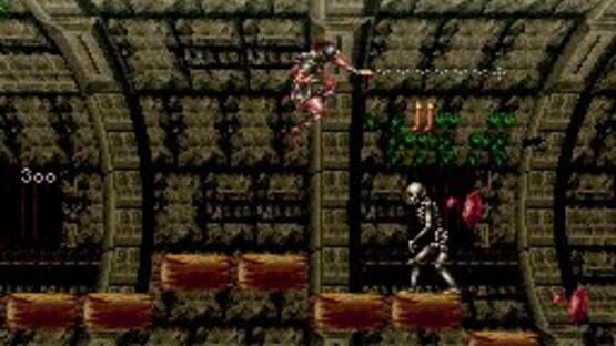 Screenshot for Super Castlevania IV