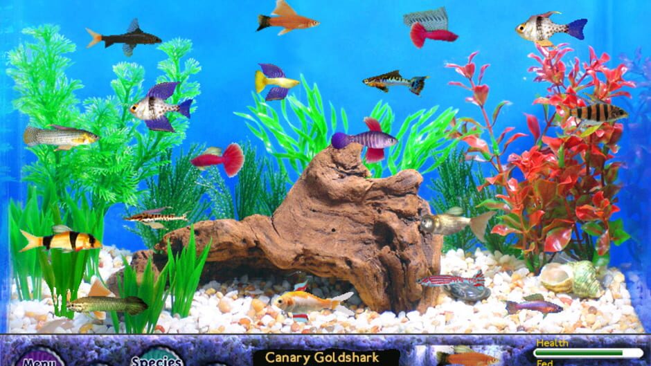 Screenshot for Fish Tycoon