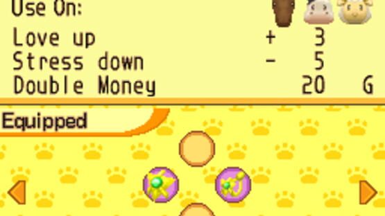 Screenshot for Harvest Moon DS: Island of Happiness