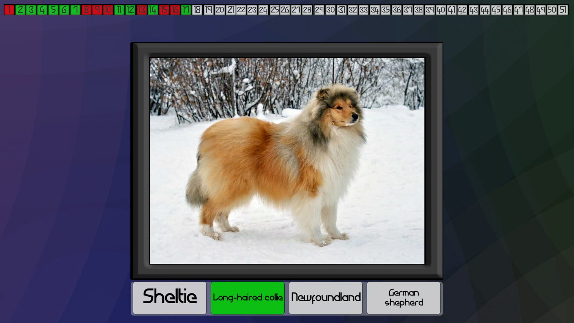 Screenshot for Test your knowledge: Dogs
