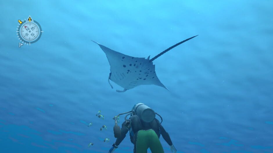 Screenshot for Endless Ocean