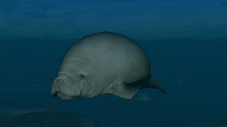 Screenshot for Endless Ocean: Blue World