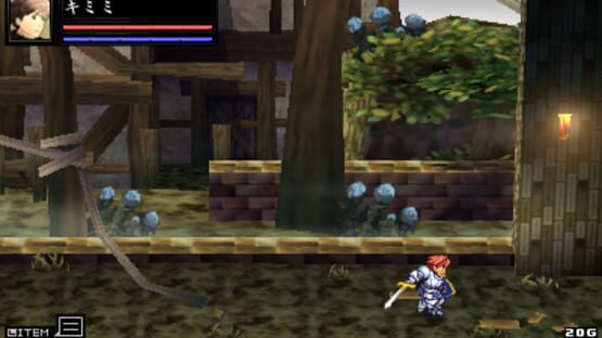 Screenshot for Swords & Darkness