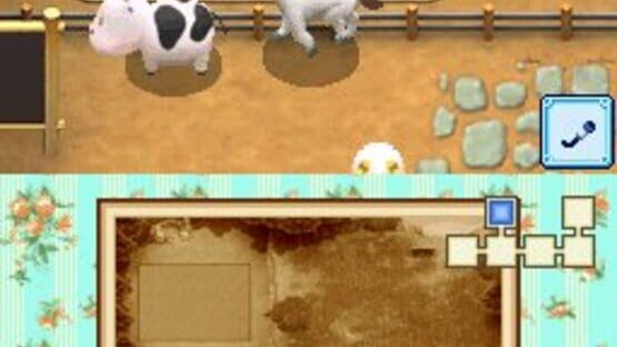 Screenshot for Harvest Moon DS: Grand Bazaar
