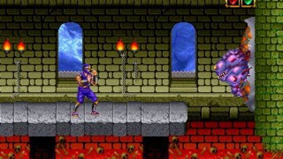 Screenshot for Magician Lord