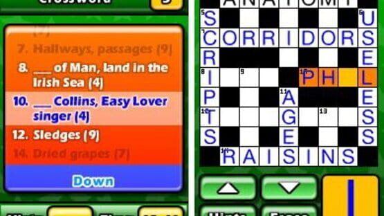 Screenshot for Puzzler World 2011