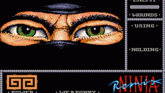 Screenshot for Ninja Remix