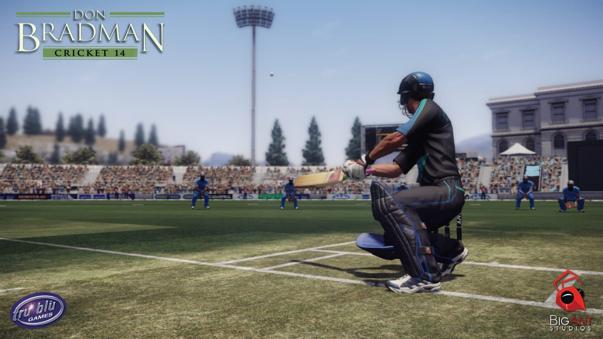 Screenshot for Don Bradman Cricket 14