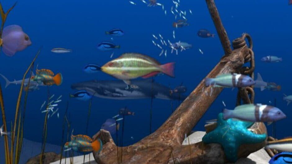 Screenshot for Big Kahuna Party