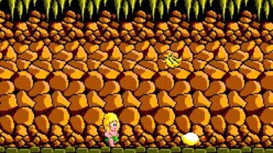 Screenshot for Wonder Boy