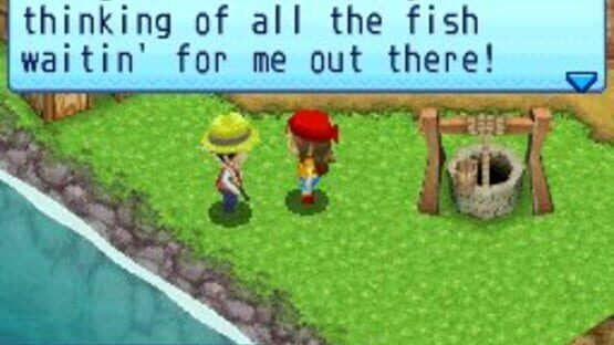 Screenshot for Harvest Moon DS: Sunshine Islands