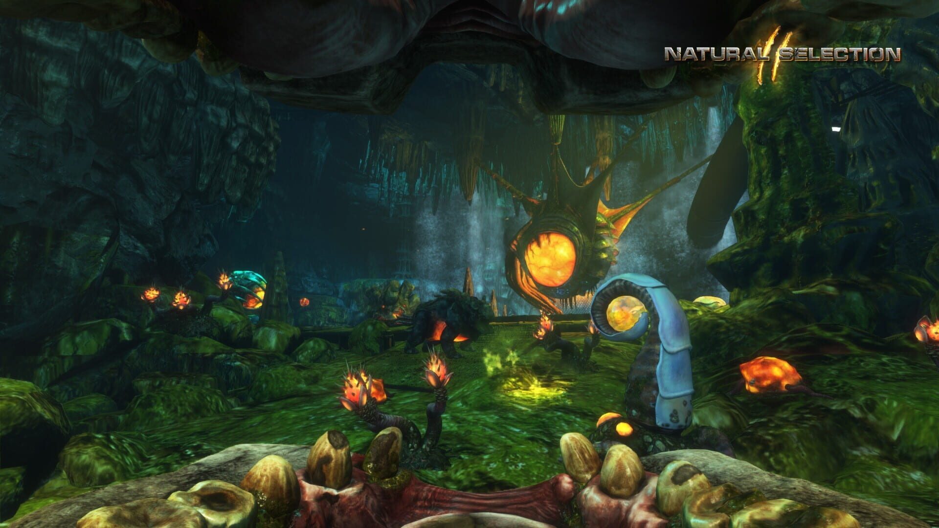 Screenshot for Natural Selection 2