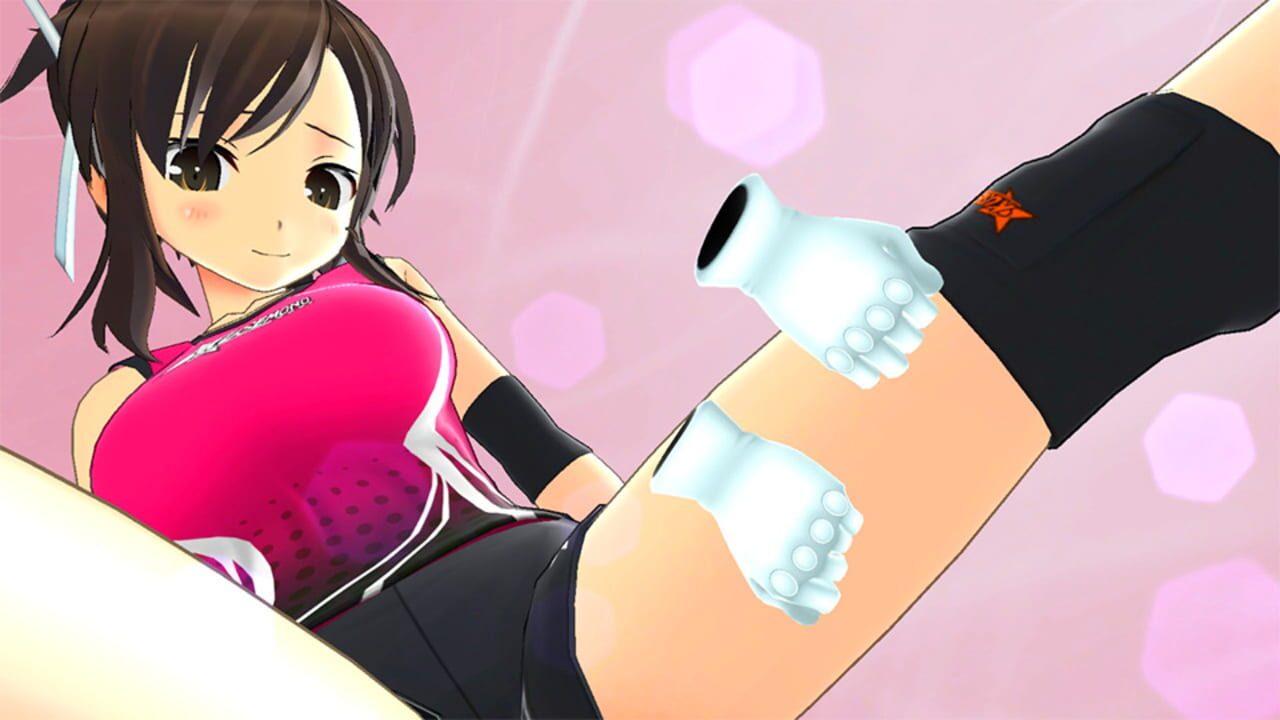 Screenshot for Senran Kagura Reflexions