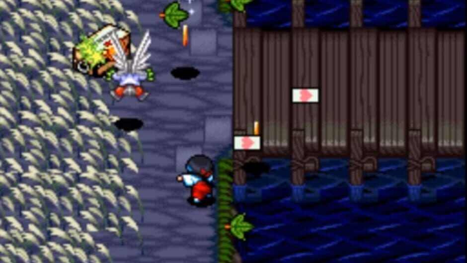 Screenshot for Pocky & Rocky 2