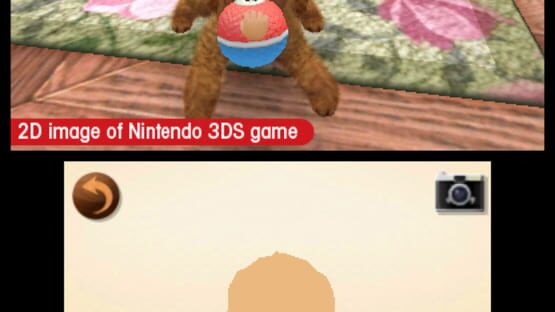 Screenshot for Nintendogs + Cats: French Bulldog & New Friends