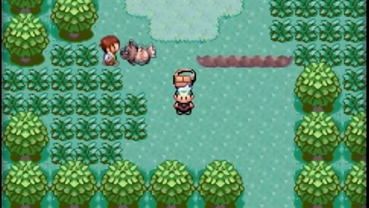 Screenshot for Pokémon Emerald Version