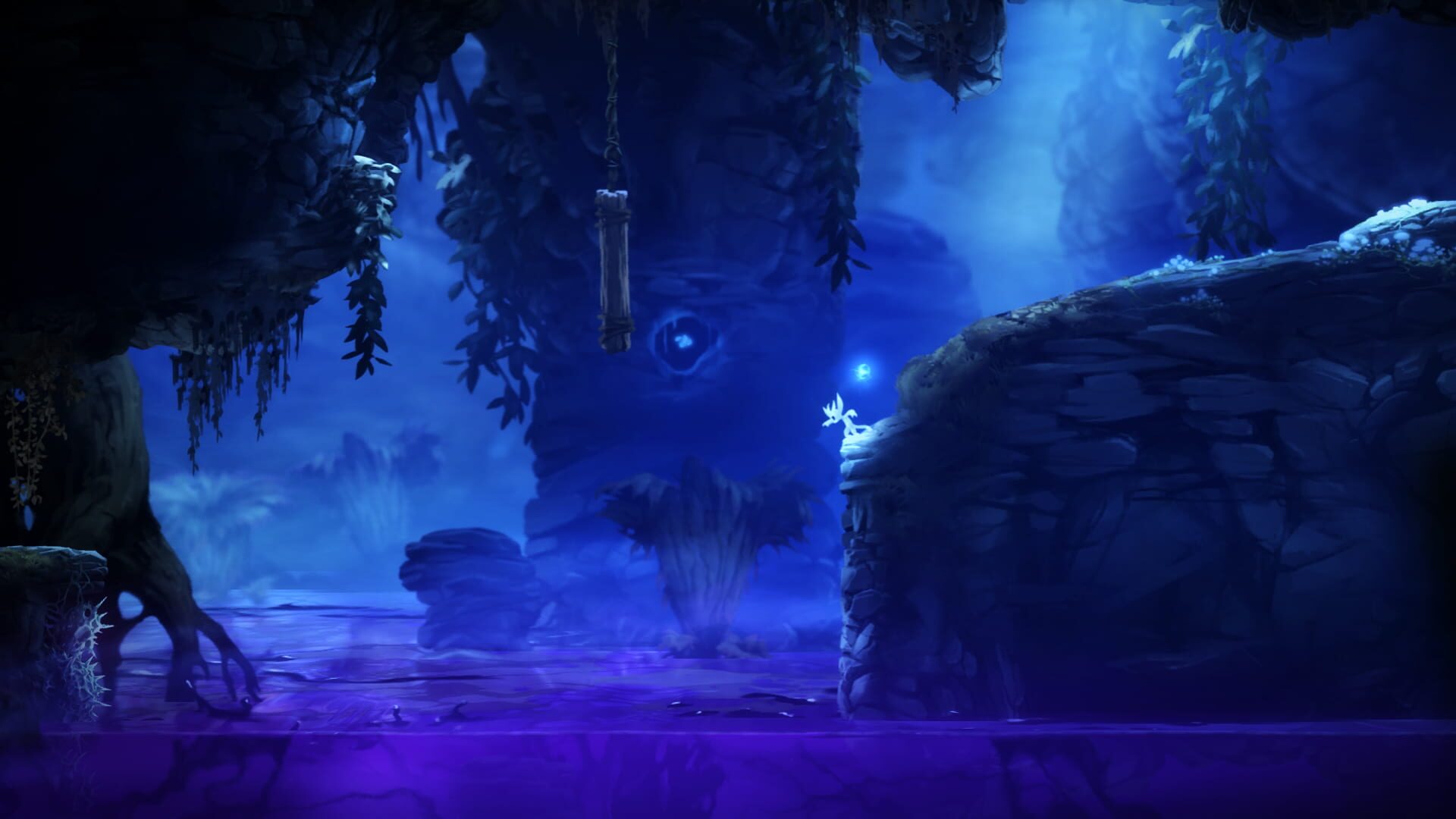 Screenshot for Ori and the Blind Forest