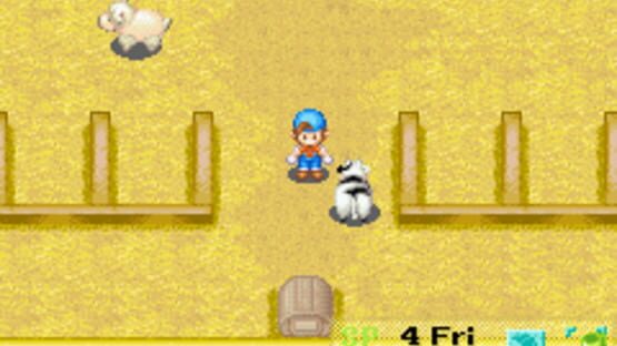 Screenshot for Harvest Moon: Friends of Mineral Town
