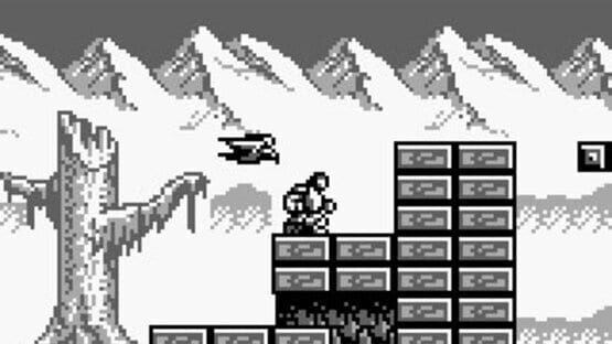 Screenshot for Castlevania: The Adventure