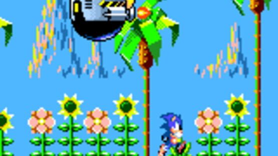 Screenshot for Sonic the Hedgehog