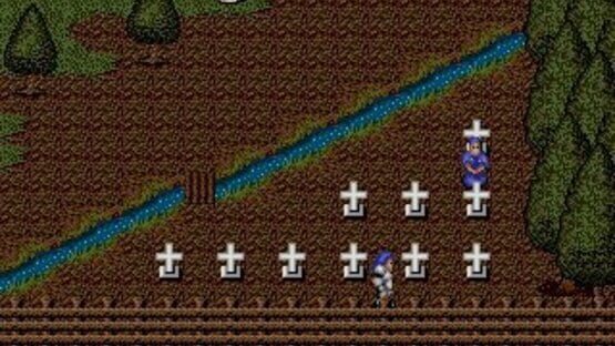 Screenshot for Sword of Vermilion