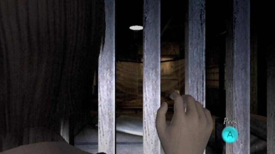 Screenshot for Project Zero 2: Wii Edition