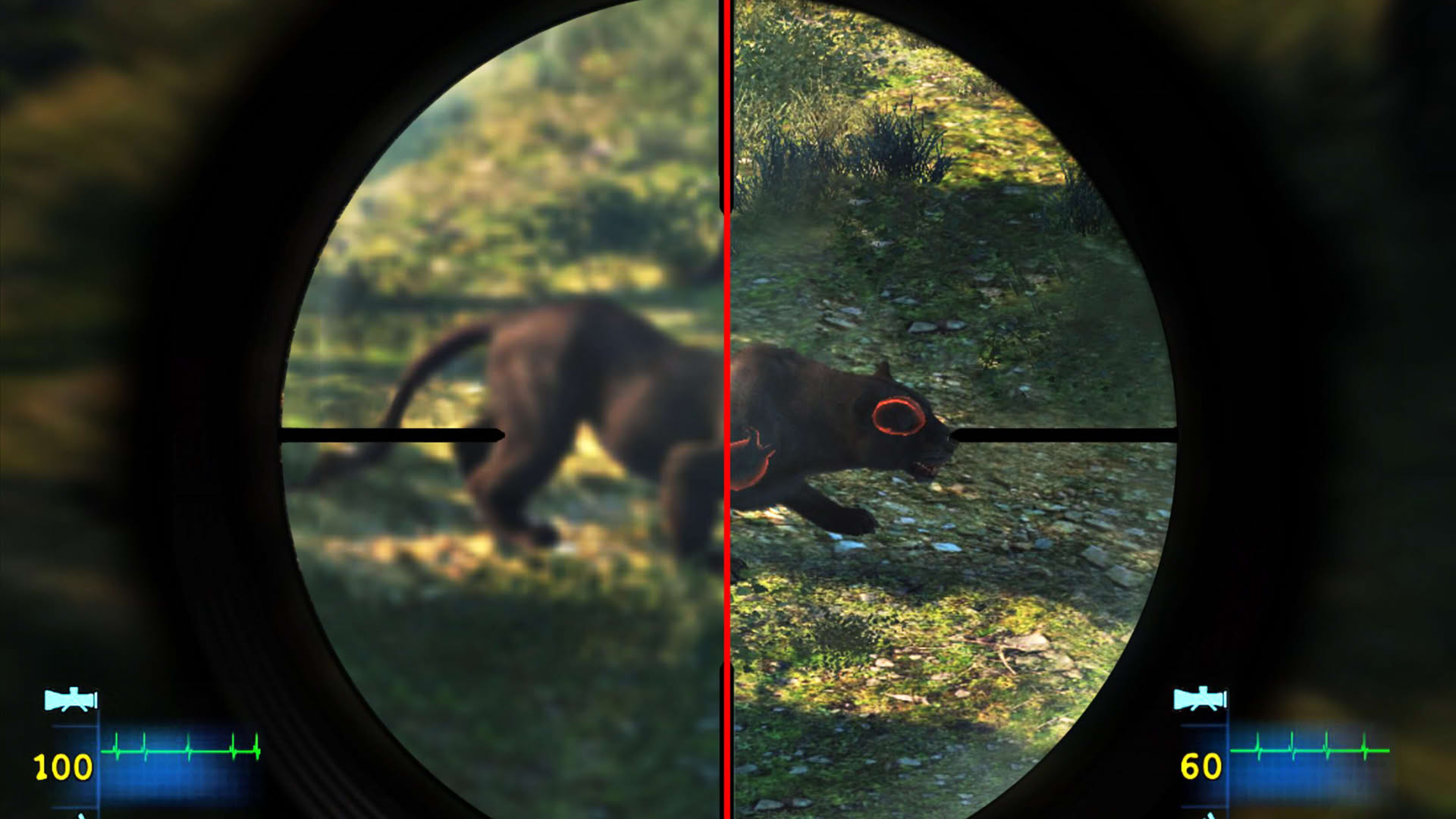 Screenshot for Cabela's Dangerous Hunts 2013