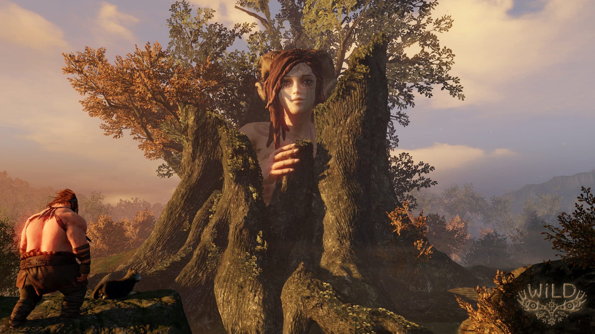 Screenshot for WiLD
