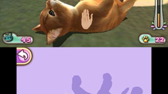 Screenshot for Pet Inn 3D