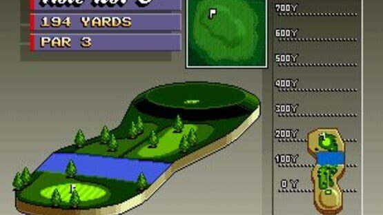 Screenshot for Neo Turf Masters