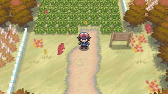 Screenshot for Pokémon Black Version
