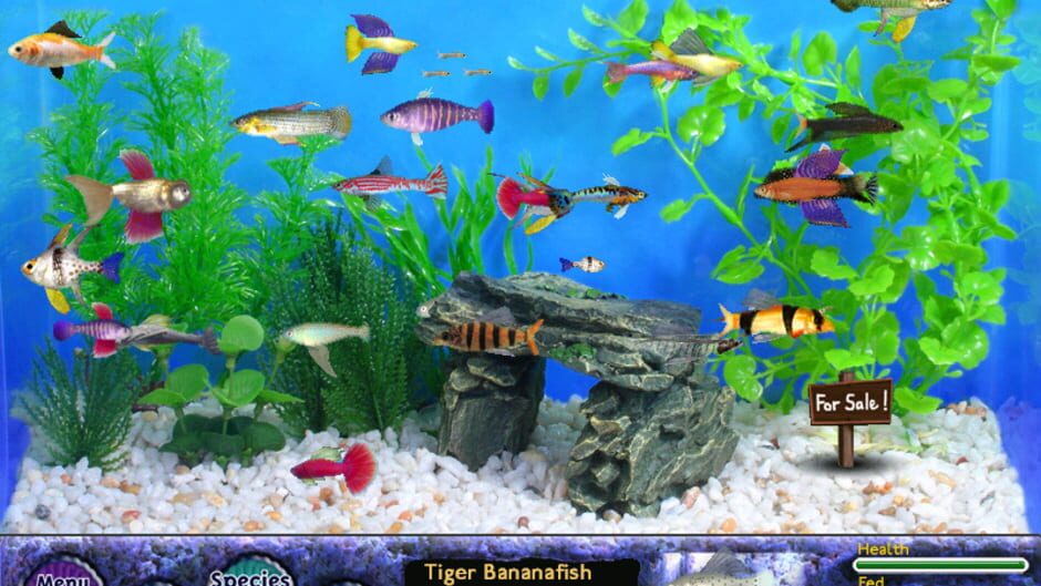 Screenshot for Fish Tycoon