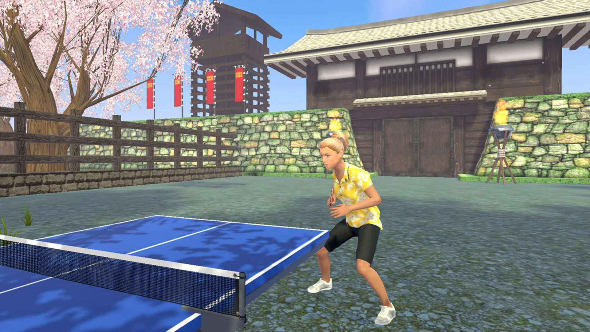 Screenshot for VR Ping Pong Paradise