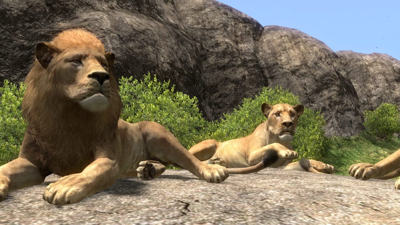 Screenshot for Afrika