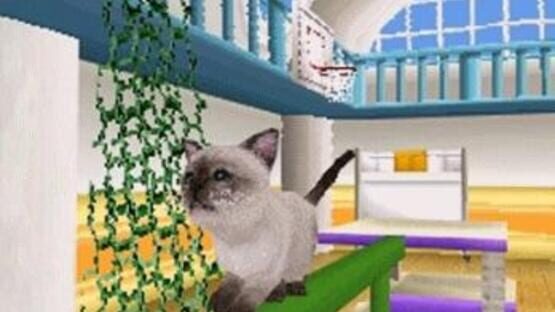 Screenshot for Petz Catz Family