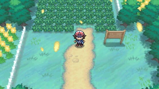 Screenshot for Pokémon Black Version