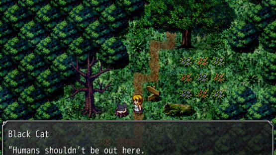 Screenshot for The Witch's House