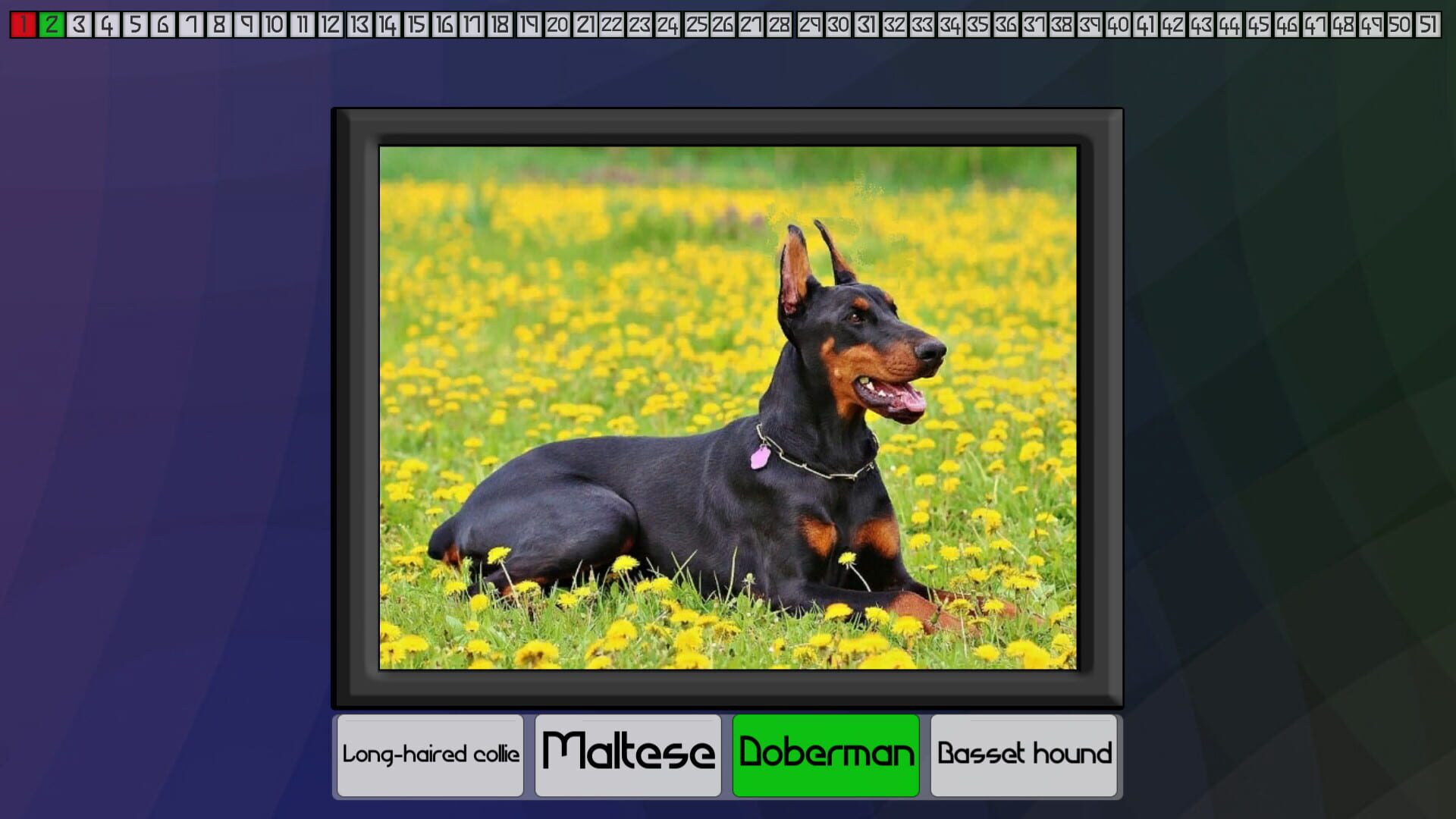 Screenshot for Test your knowledge: Dogs
